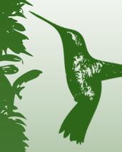 tl_files/thrilleronline_files_v1/images/Bilder/Blog - Vorstellung/Vogel.JPG